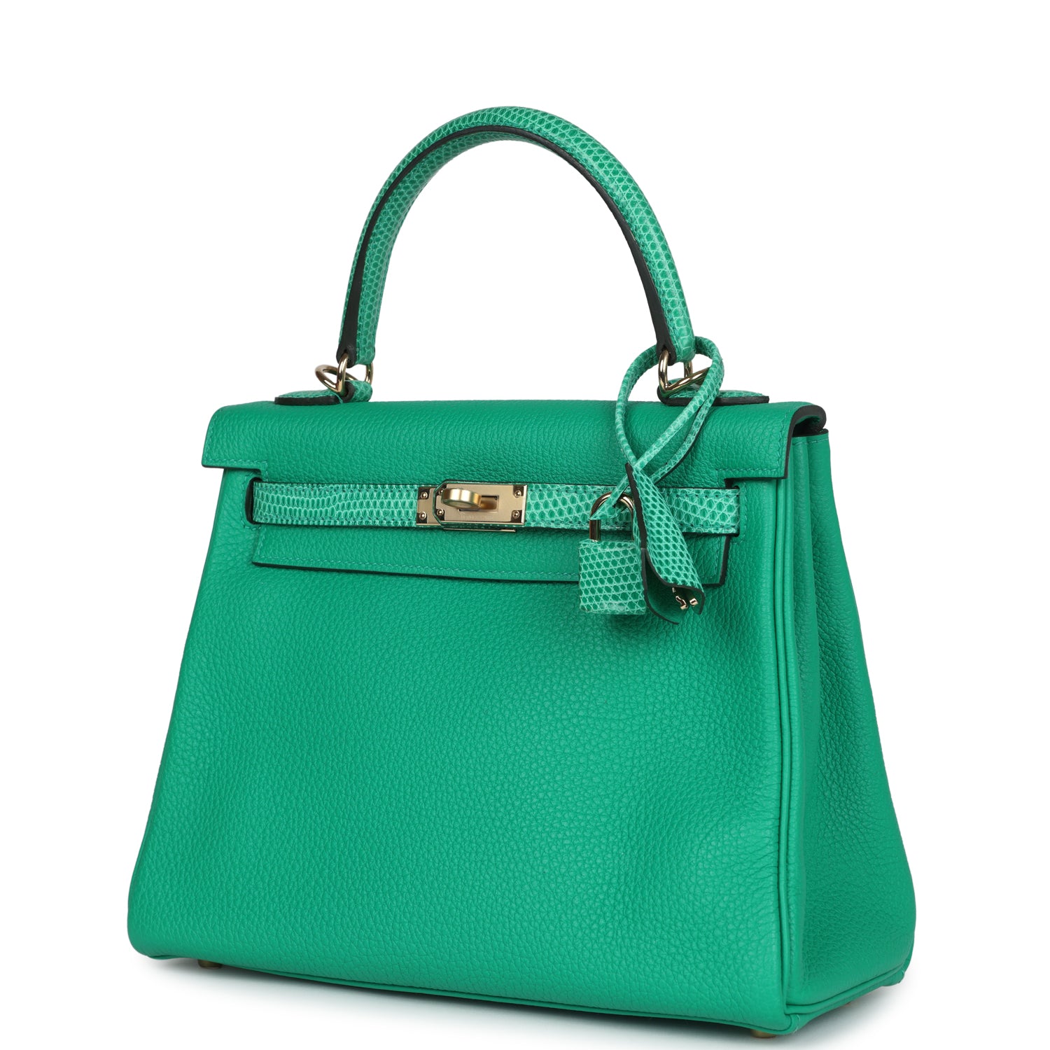Kelly Retourne 25 Menthe Togo and Varanus Niloticus Lizard Touch Permabrass Hardware Bag