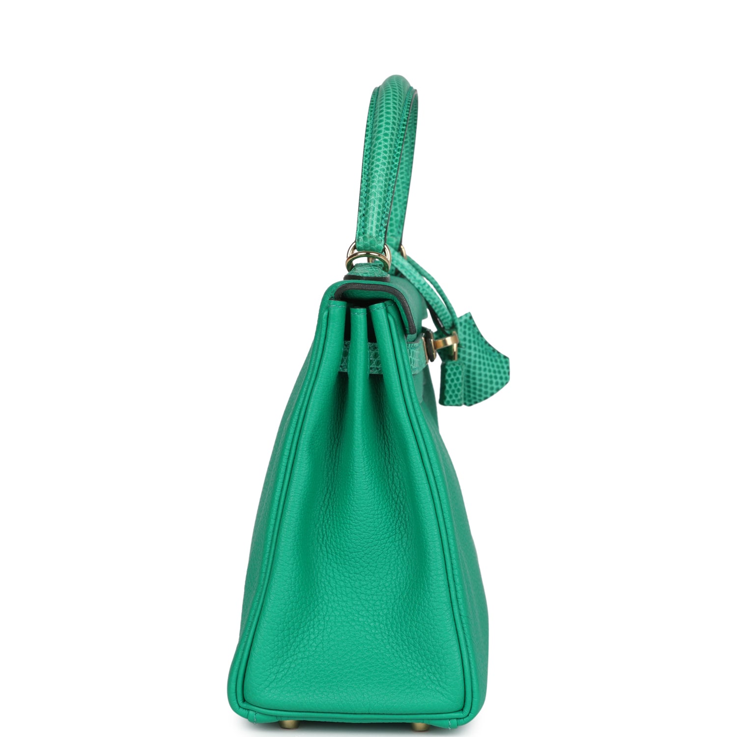Kelly Retourne 25 Menthe Togo and Varanus Niloticus Lizard Touch Permabrass Hardware Bag