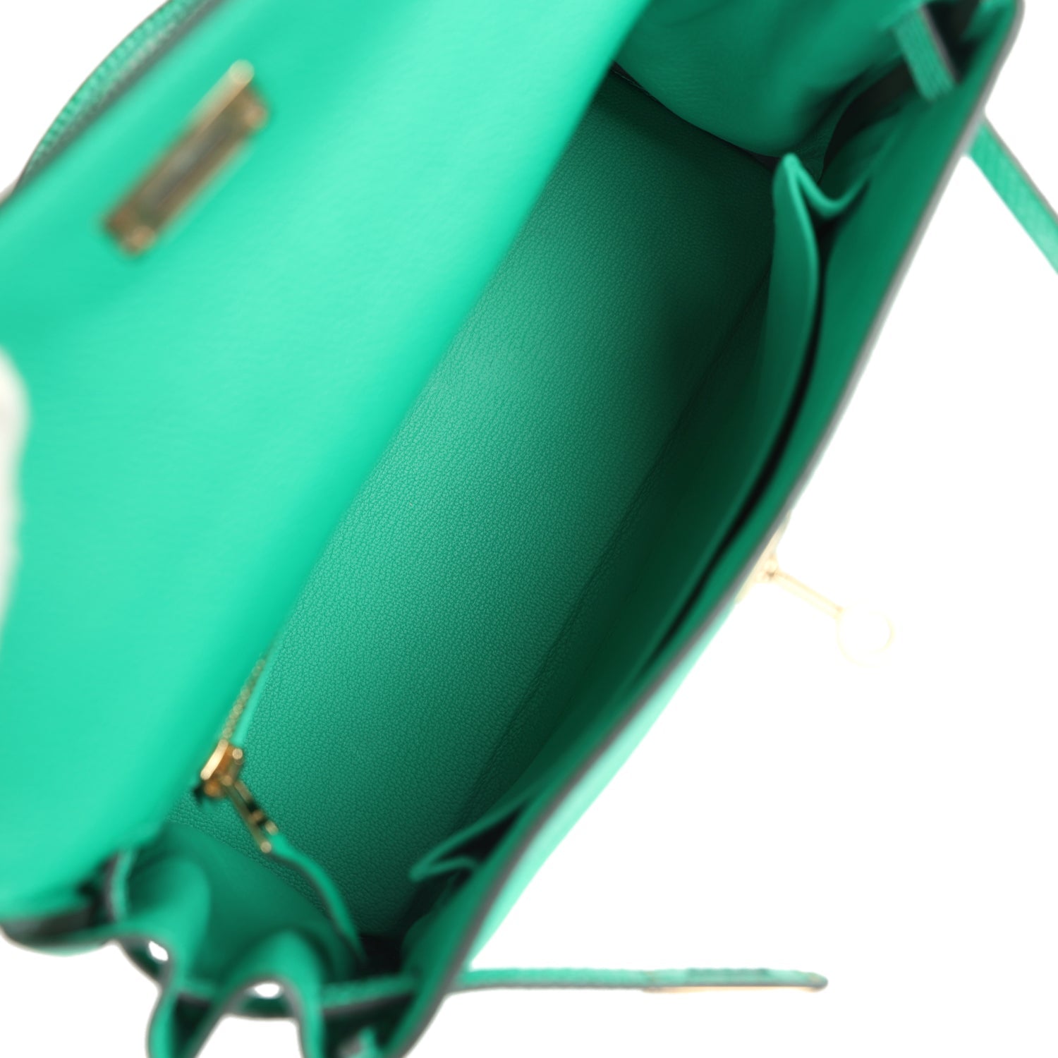 Kelly Retourne 25 Menthe Togo and Varanus Niloticus Lizard Touch Permabrass Hardware Bag