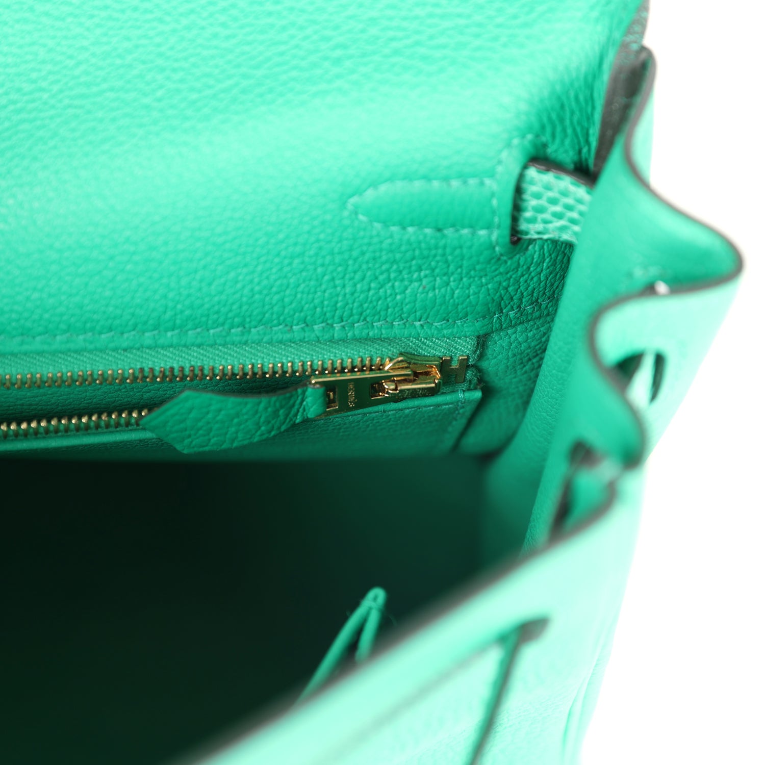 Kelly Retourne 25 Menthe Togo and Varanus Niloticus Lizard Touch Permabrass Hardware Bag