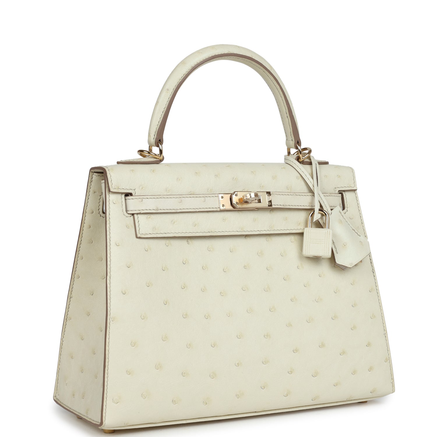 Kelly Sellier 25 Nata Verso Ostrich Permabrass Hardware Bag