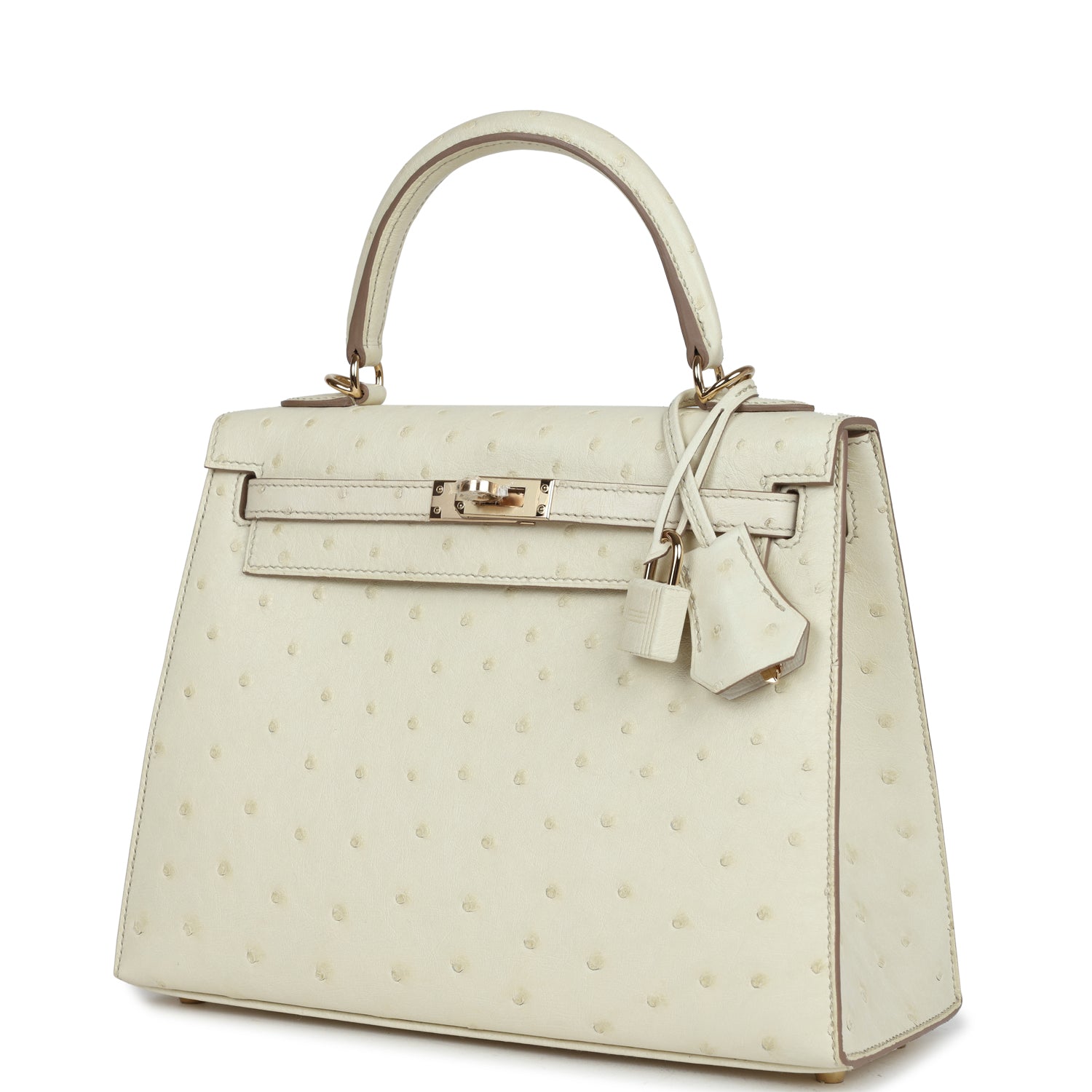 Kelly Sellier 25 Nata Verso Ostrich Permabrass Hardware Bag