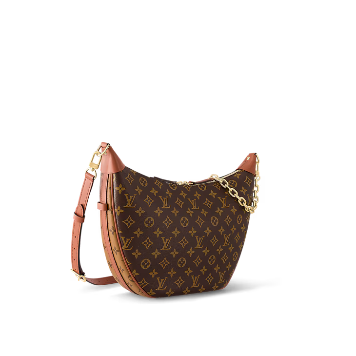 Loop Hobo Bag