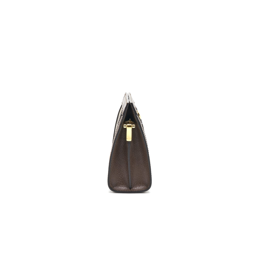 gucci-ophidia-gg-small-chain-bag
