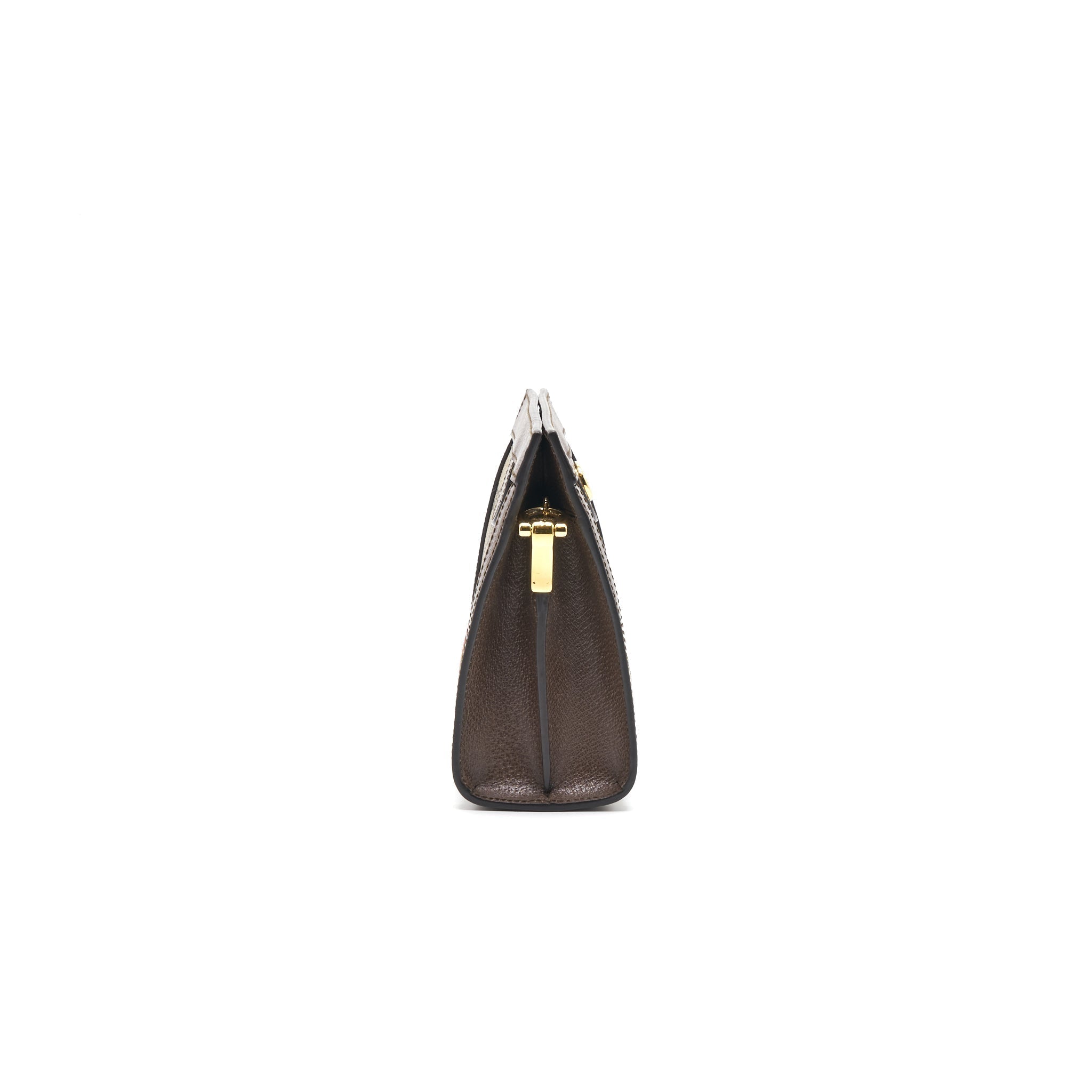 gucci-ophidia-gg-small-chain-bag
