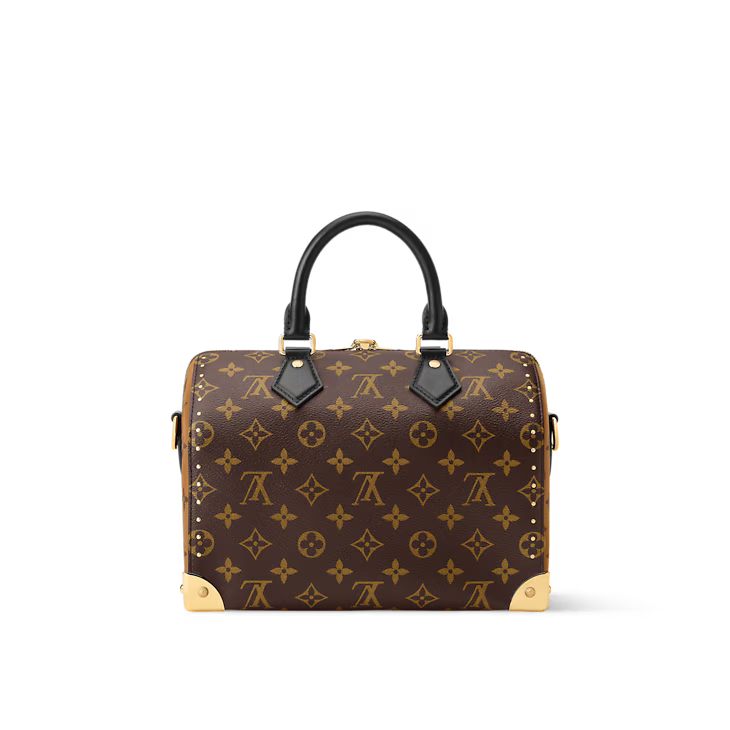 Speedy 25 Trunk Bag