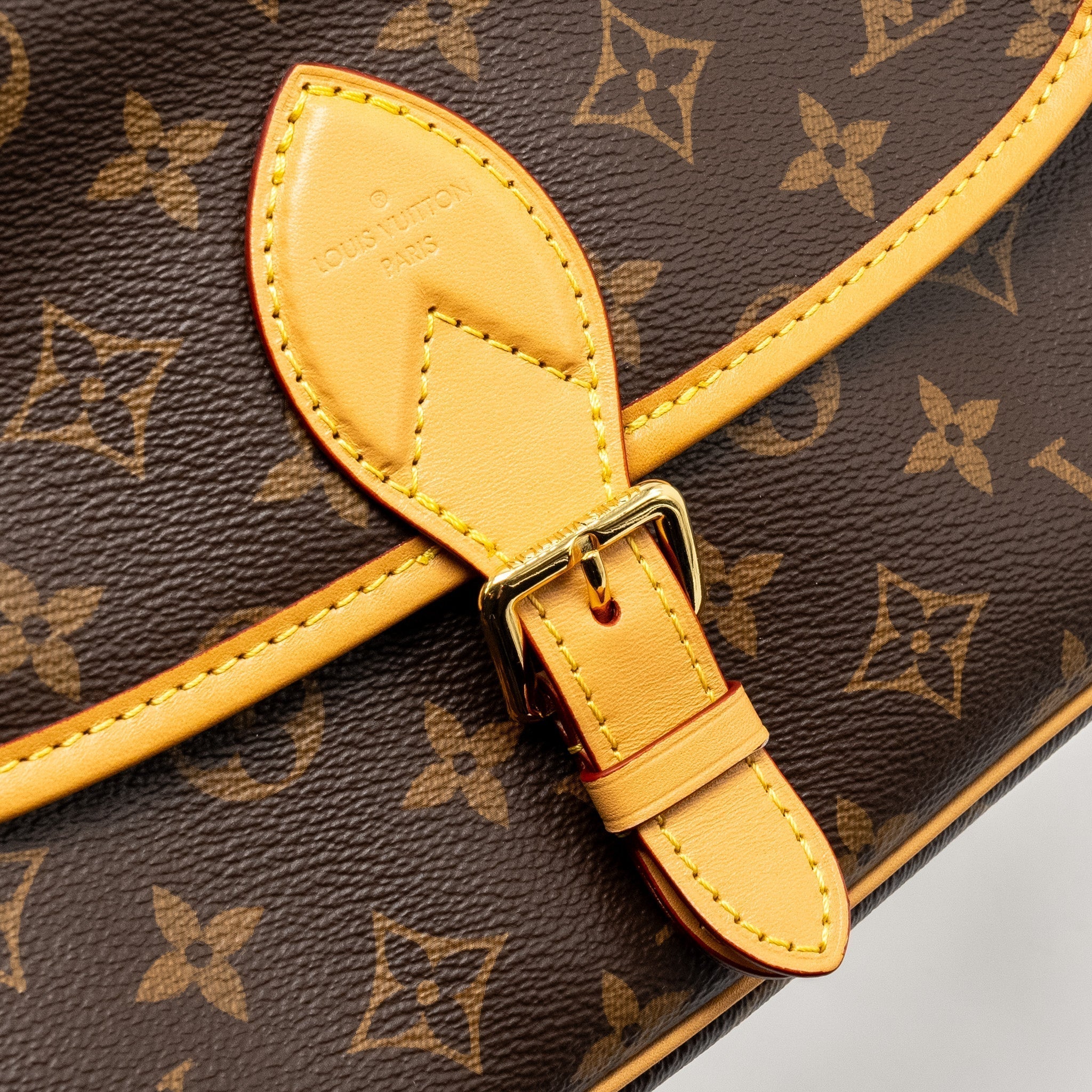 louis-vuitton-diane-bag-with-fuchsia-strap-monogram-canvas-ghw