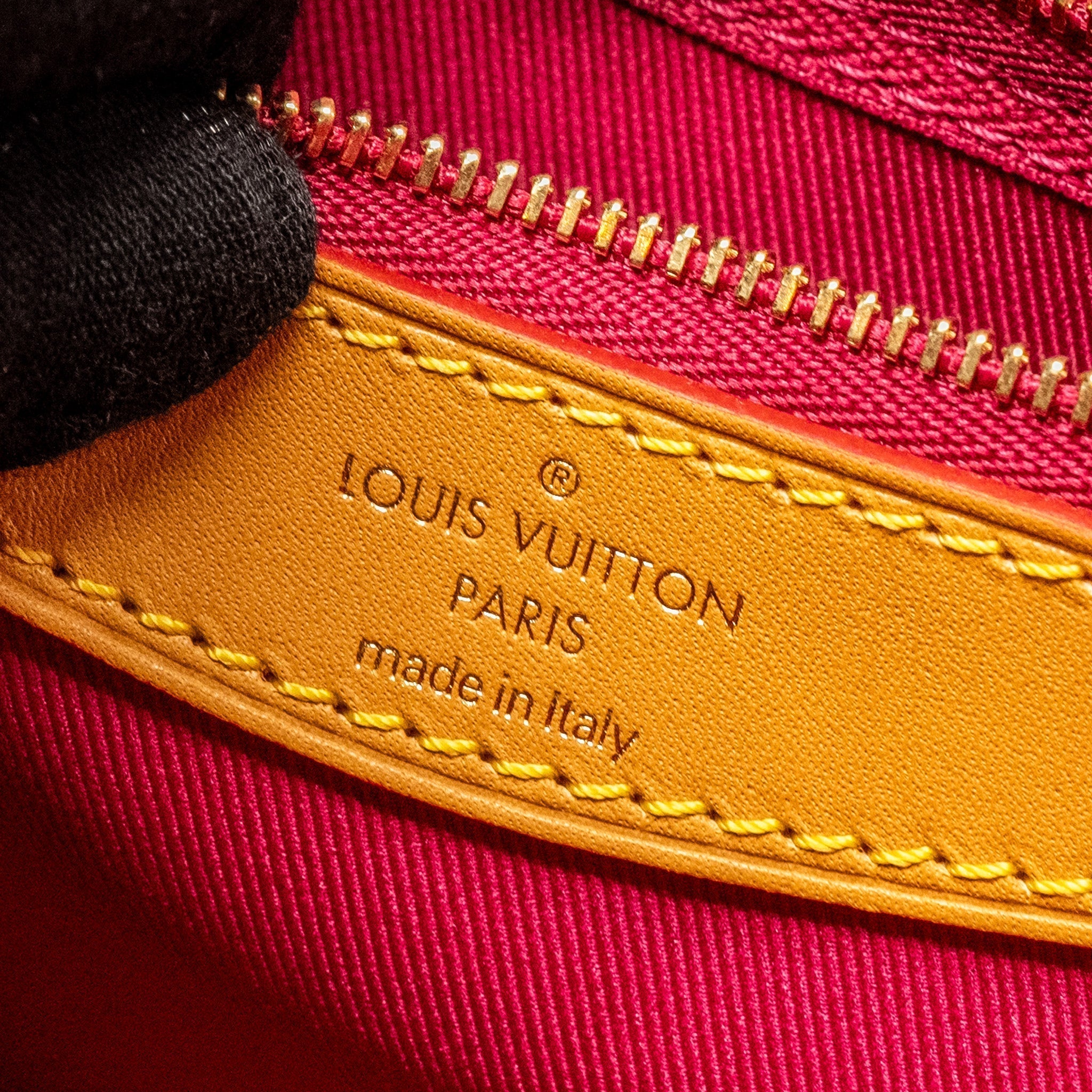 louis-vuitton-diane-bag-with-fuchsia-strap-monogram-canvas-ghw