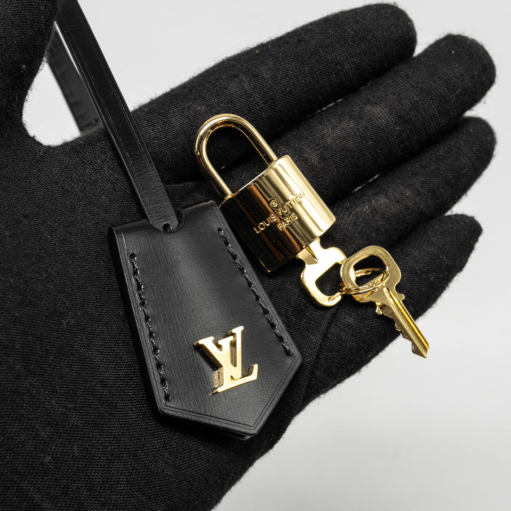 louis-vuitton-vanity-case-pm-monogram-reverse-canvas-ghw