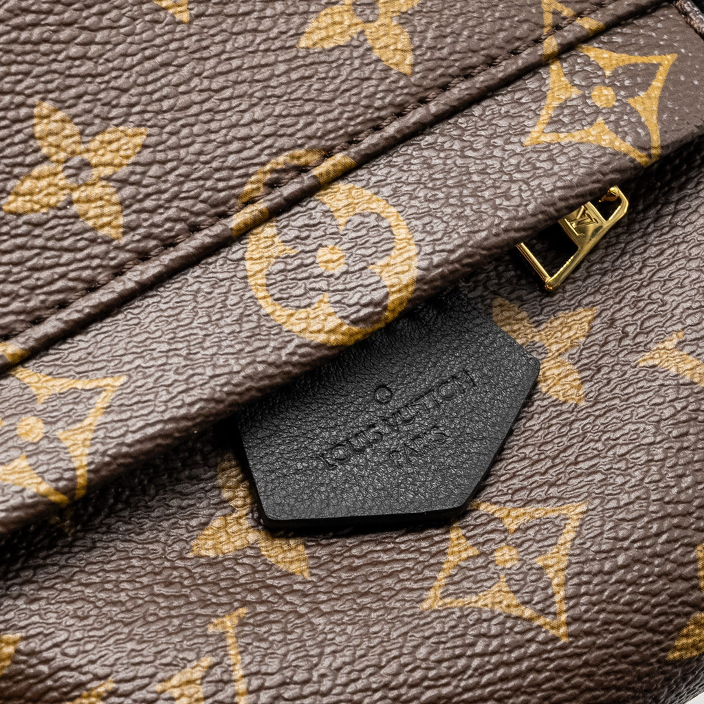 louis-vuitton-mini-palm-spring-backpack-monogram-canvas-ghw-copy