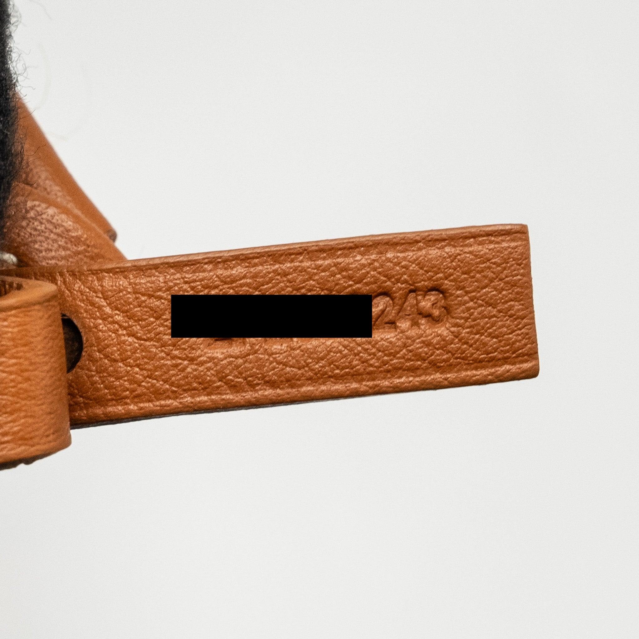 goyard-mini-anjou-tote-bag-goyardline-canvas-calfskin-tan-shw