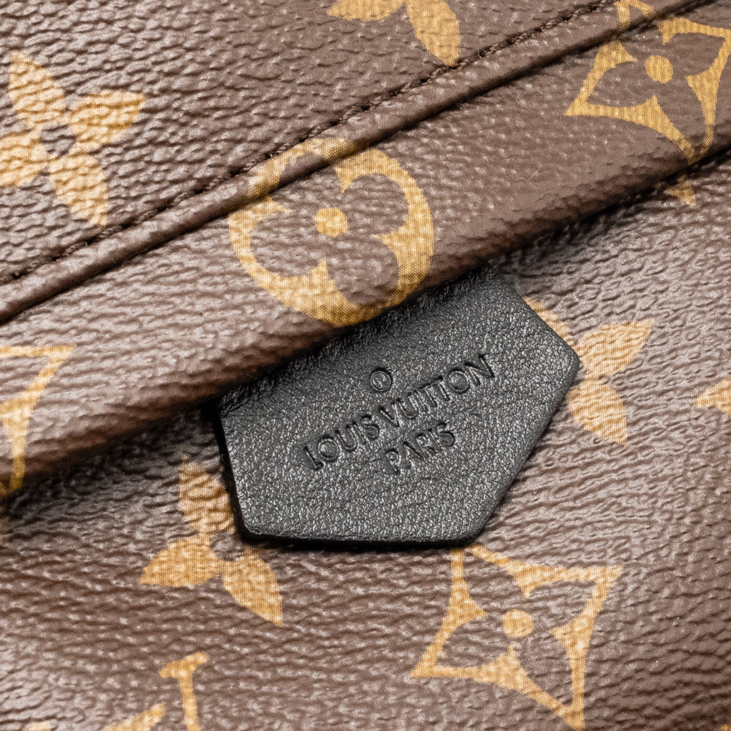 louis-vuitton-mini-palm-spring-backpack-monogram-canvas-ghw-10