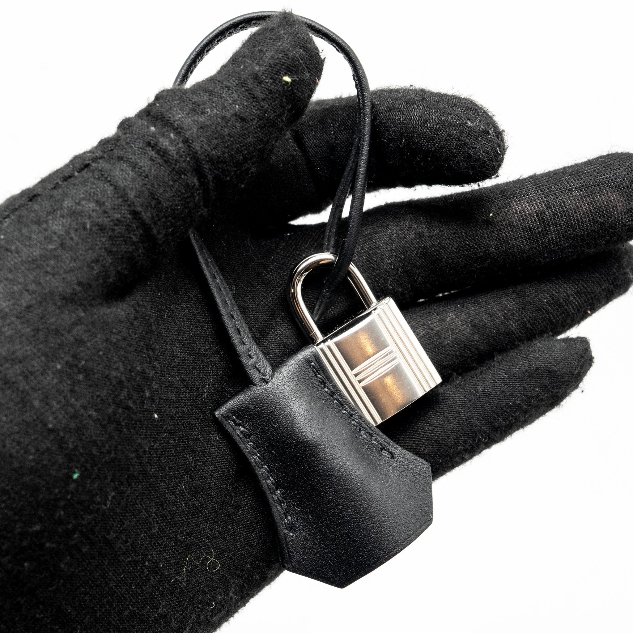hermes-birkin-25-cargo-toile-geoland-swift-black-shw-stamp-b
