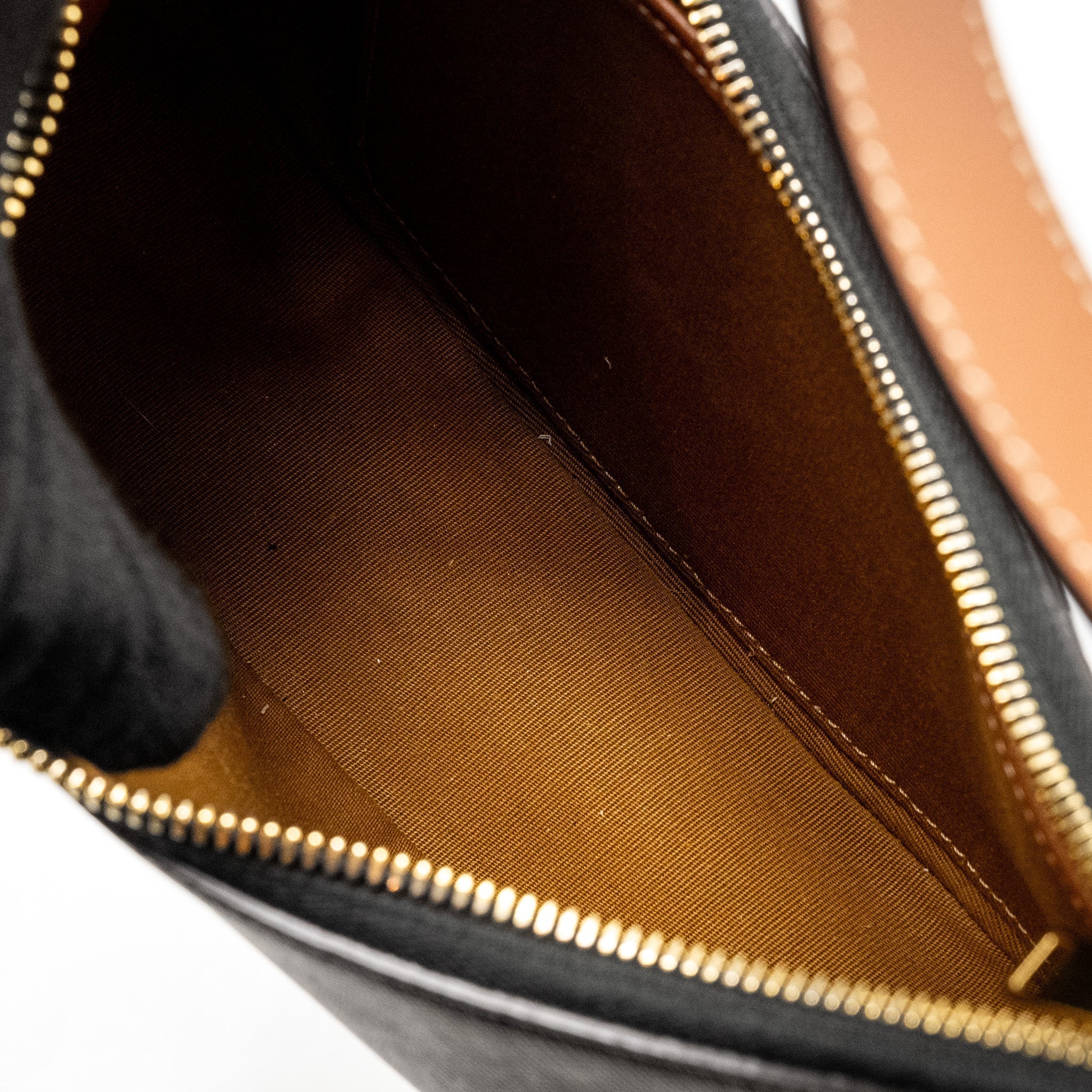 celine-ava-bag-triomphe-canvas-calfskin-brown-ghw-1