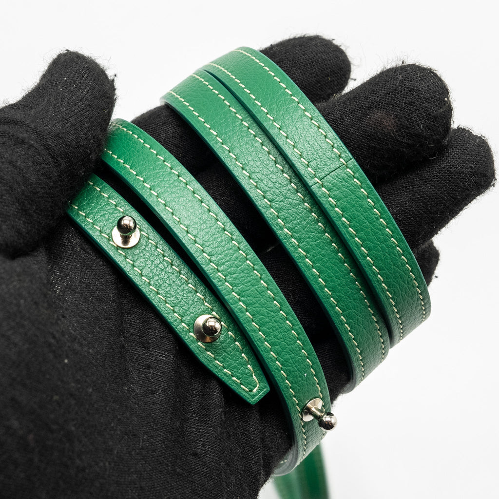 goyard-mini-saigon-bag-goyardline-canvas-green-shw