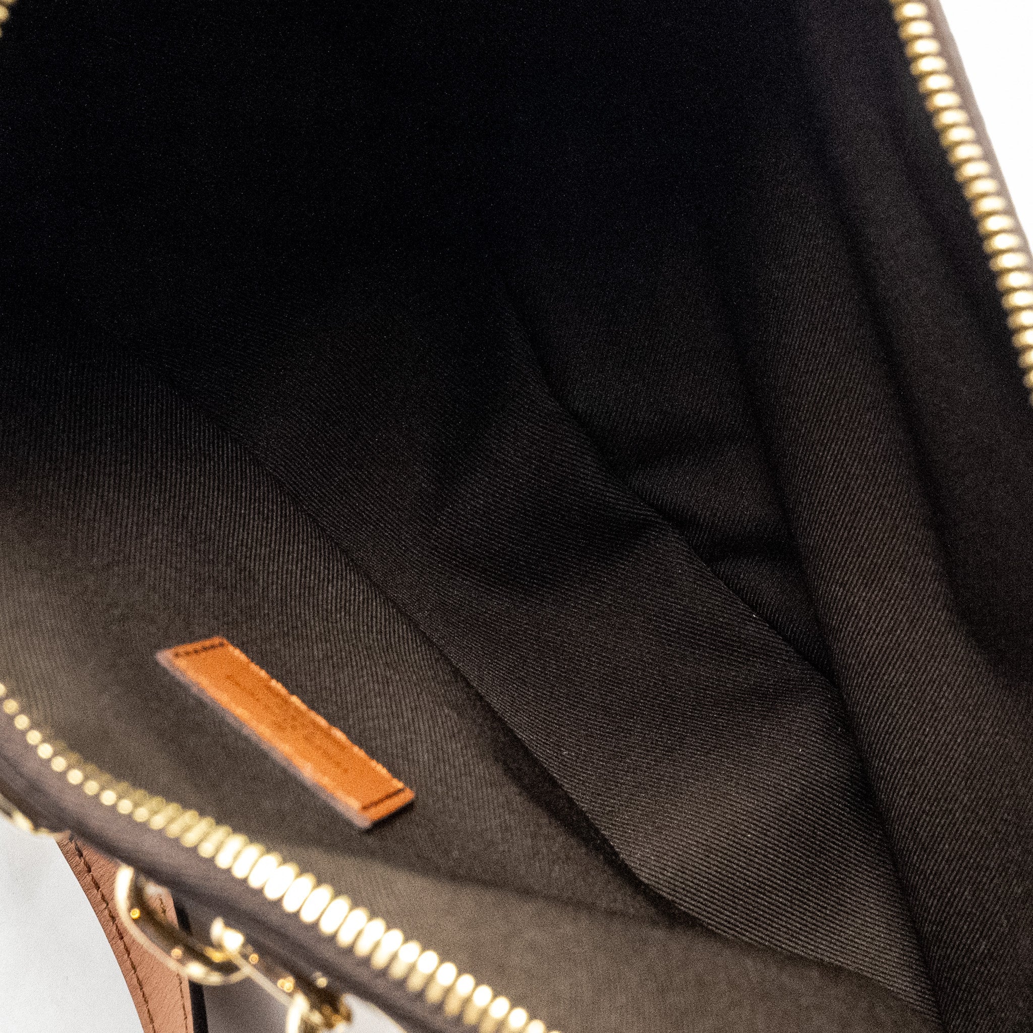 louis-vuitton-loop-hobo-monogram-canvas-calfskin-ghw