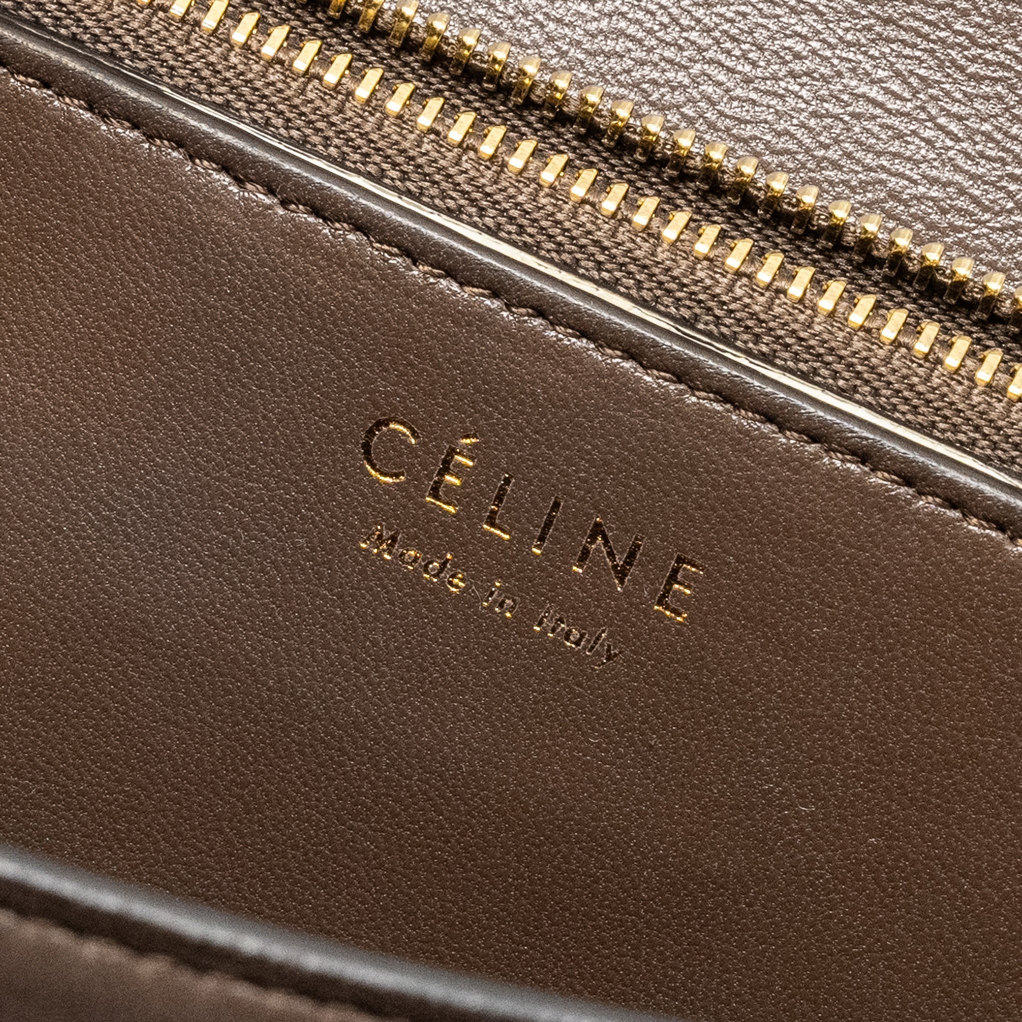 celine-medium-box-lizard-natural-ghw-1