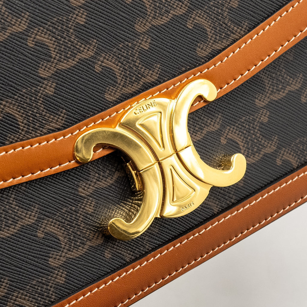 celine-teen-triomphe-bag-in-triomphe-canvas-calfskin-ghw