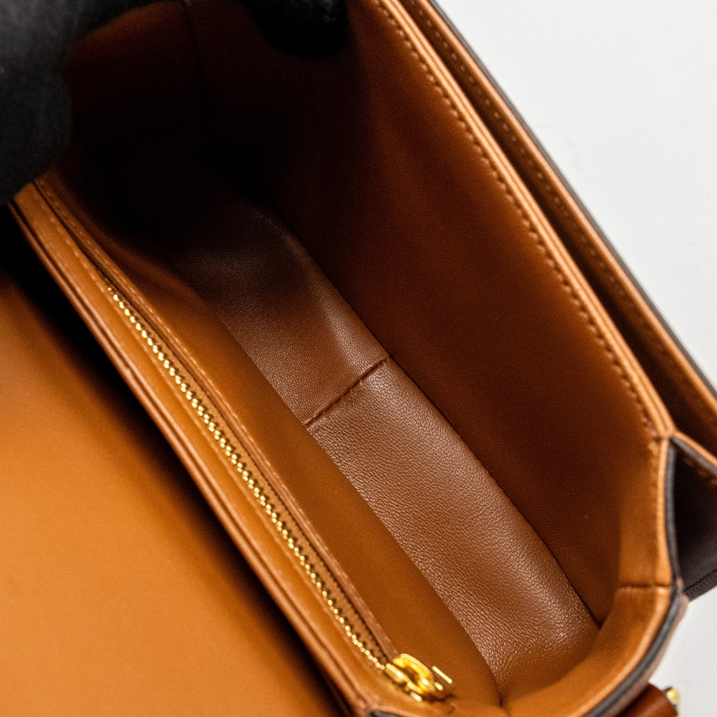 celine-teen-triomphe-bag-in-triomphe-canvas-calfskin-ghw