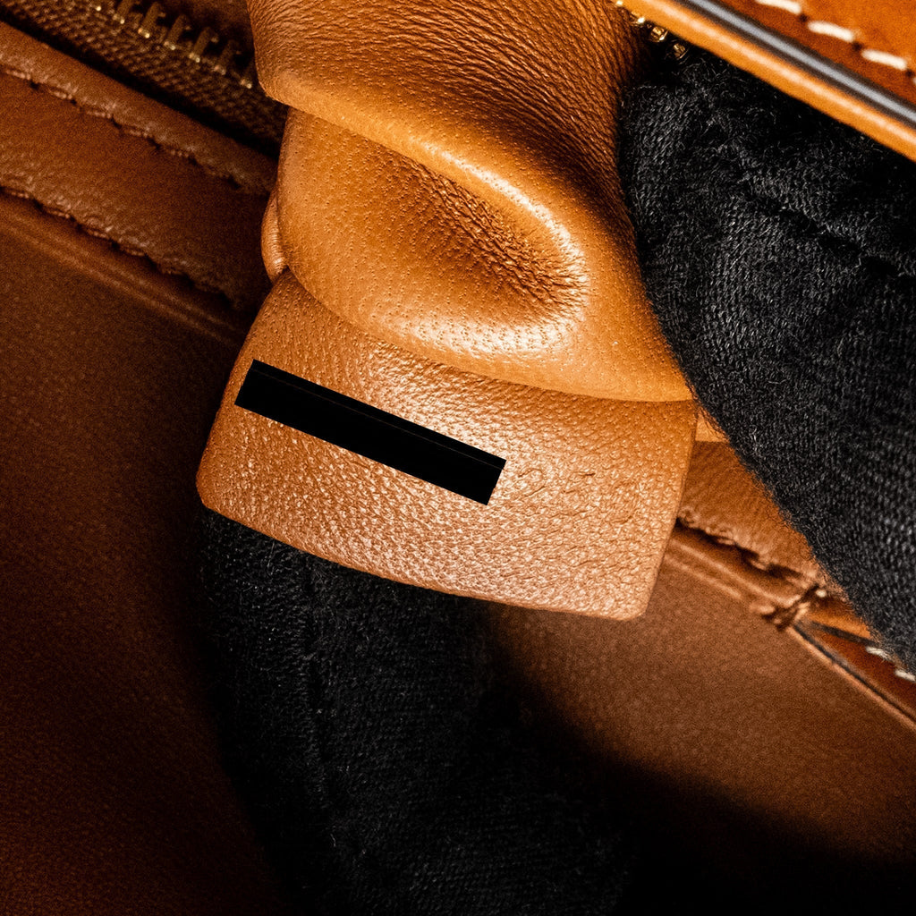 celine-teen-triomphe-bag-in-triomphe-canvas-calfskin-ghw