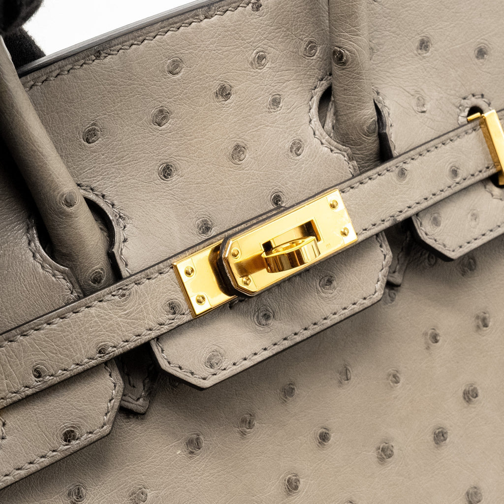 hermes-birkin-25-ostrich-grey-1