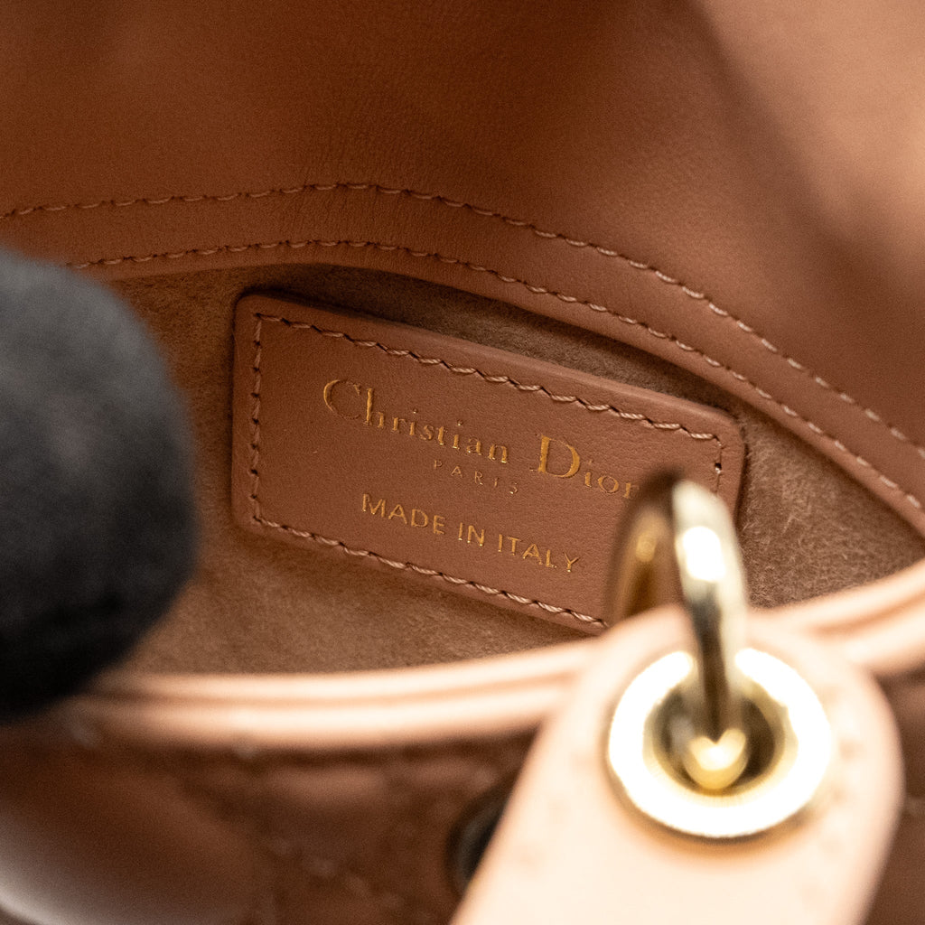 dior-lady-dior-micro-bag-cannage-lambskin-rose-des-vents-lghw