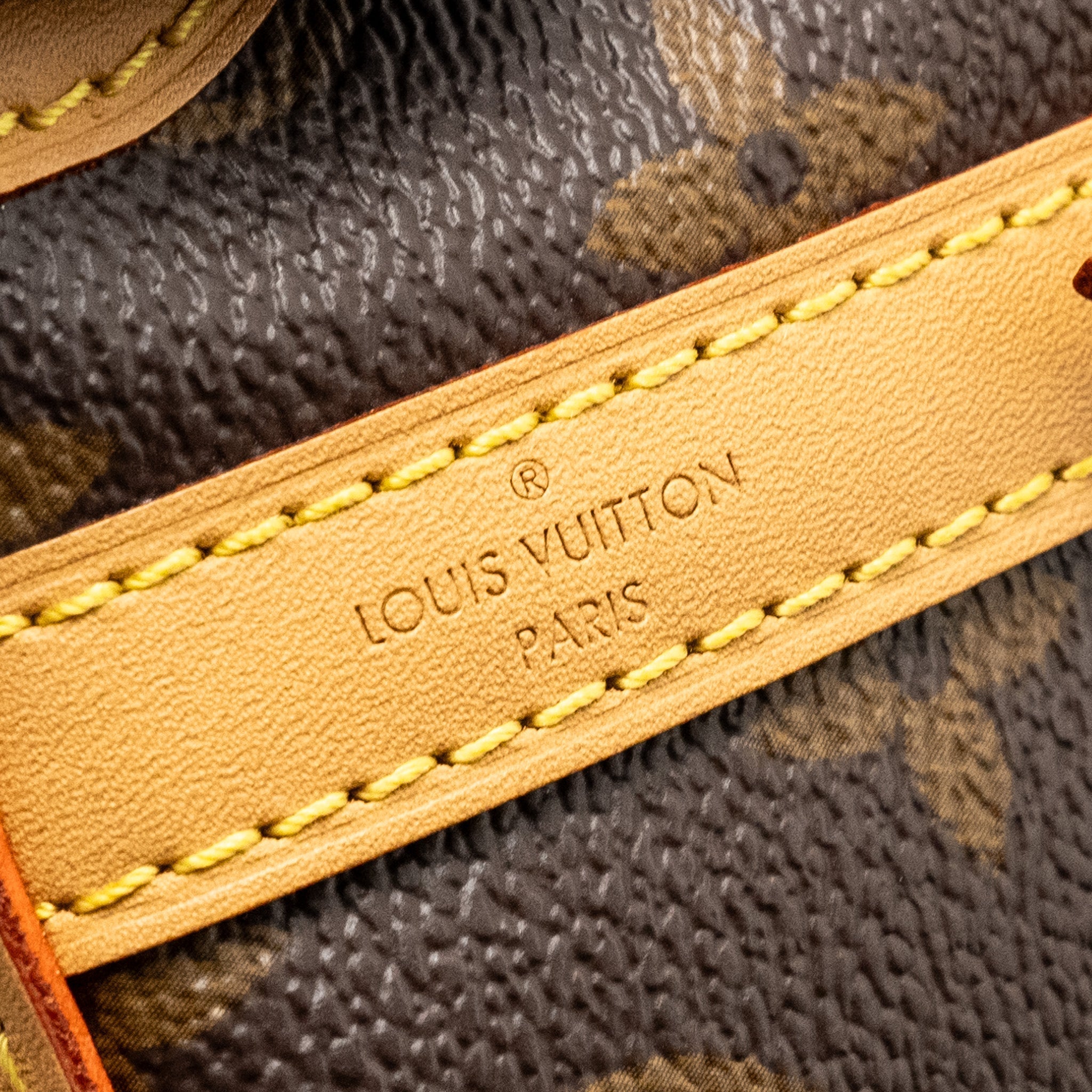 louis-vuitton-noe-purse-monogram-canvas-ghw-1