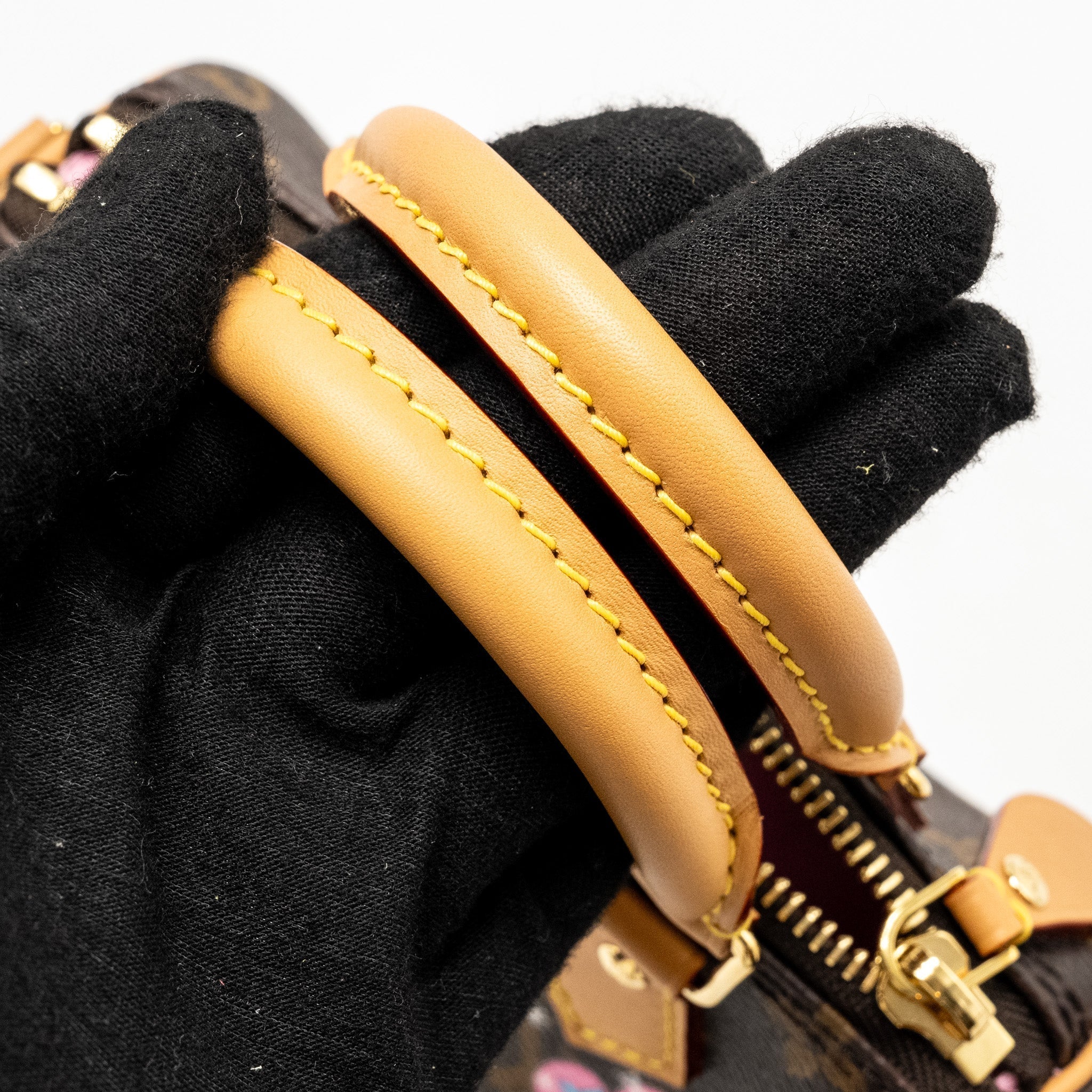 louis-vuitton-nano-speedy-vivienne-limited-edition-monogram-canvas-ghw-copy-1