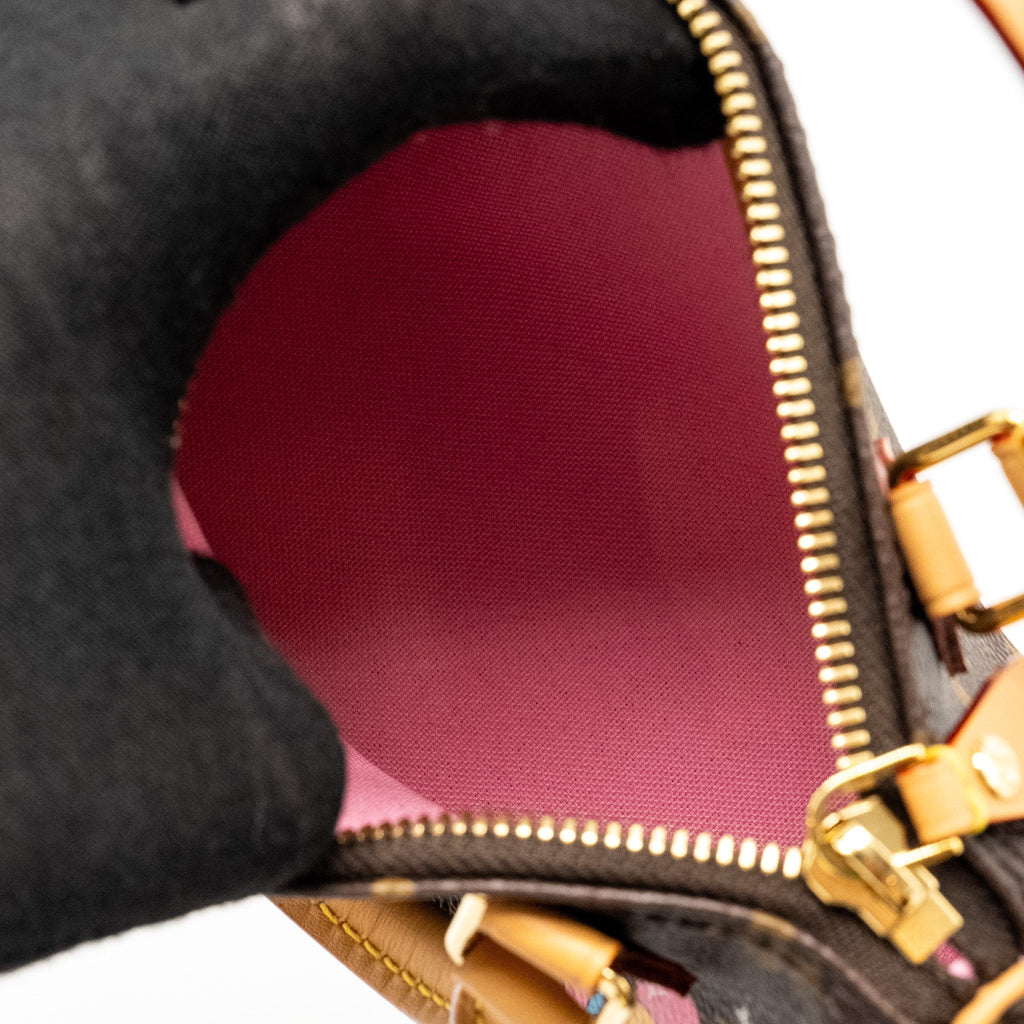 louis-vuitton-nano-speedy-vivienne-limited-edition-monogram-canvas-ghw-copy-1