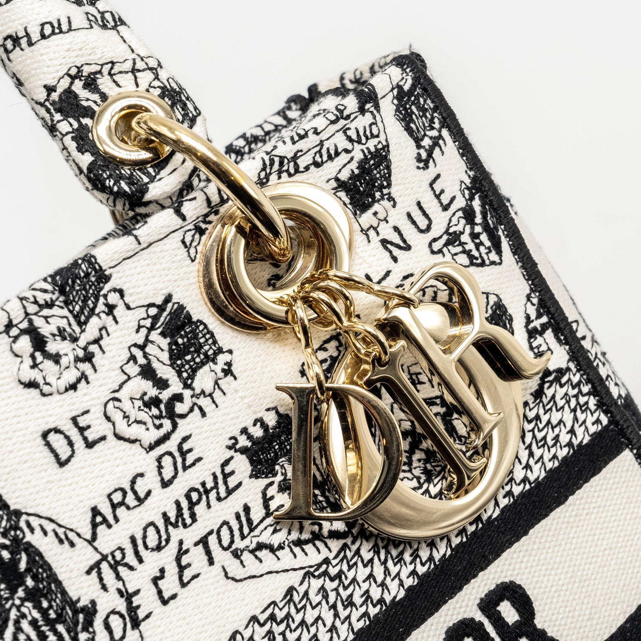 dior-medium-lady-d-lite-bag-plan-de-paris-embroidery-canvas-black-white-lghw-copy