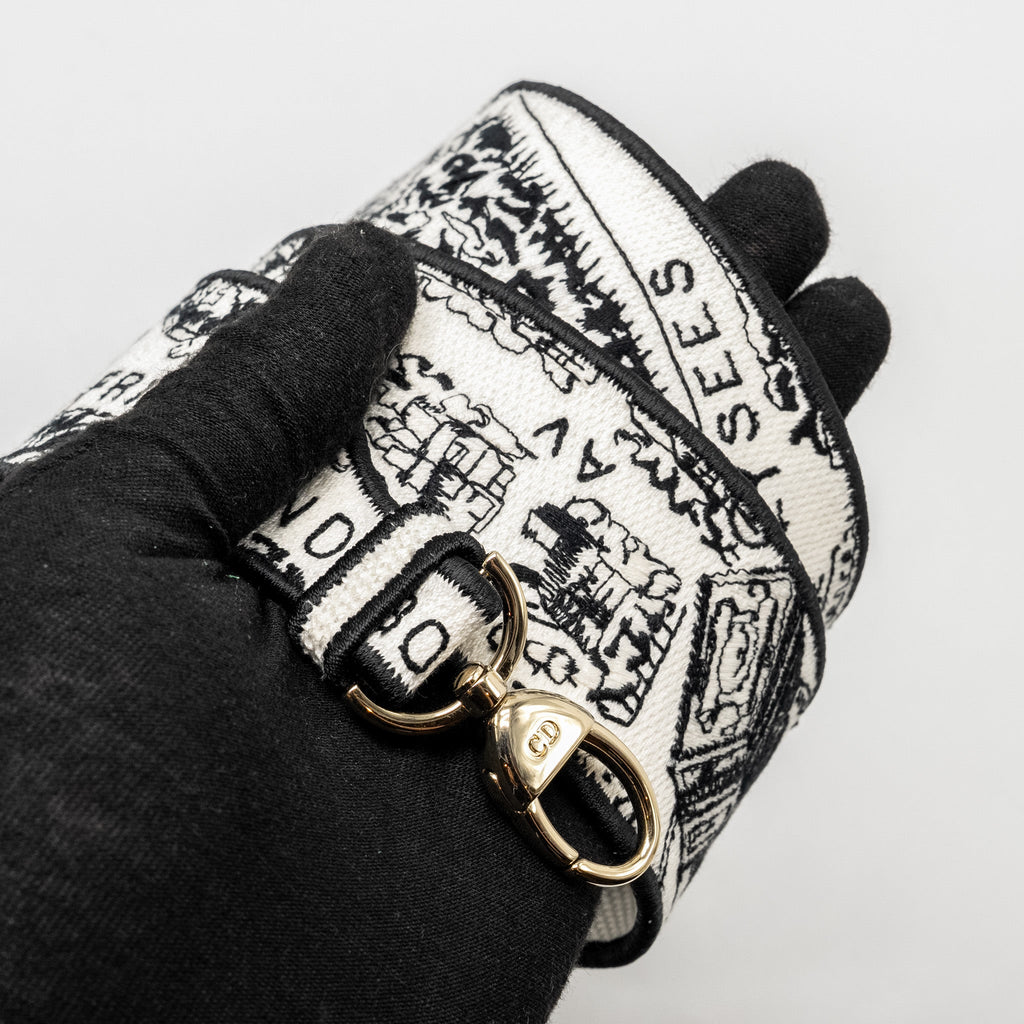dior-medium-lady-d-lite-bag-plan-de-paris-embroidery-canvas-black-white-lghw-copy