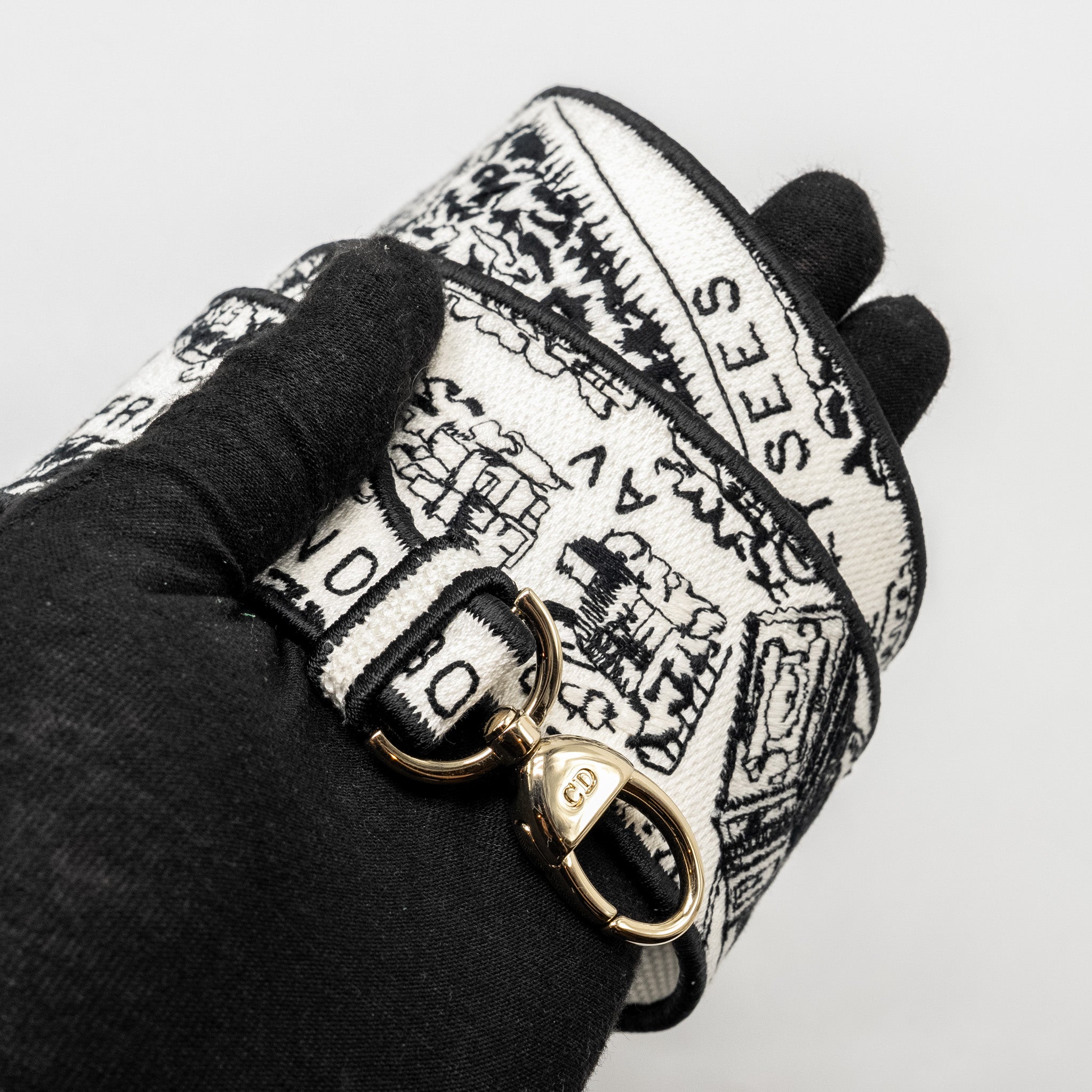 dior-medium-lady-d-lite-bag-plan-de-paris-embroidery-canvas-black-white-lghw-copy