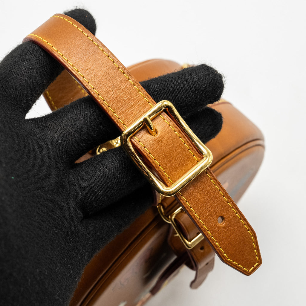 louis-vuitton-boite-chapeau-bag-limited-edition-grace-coddington-catogram-petit-calfskin-brown-ghw