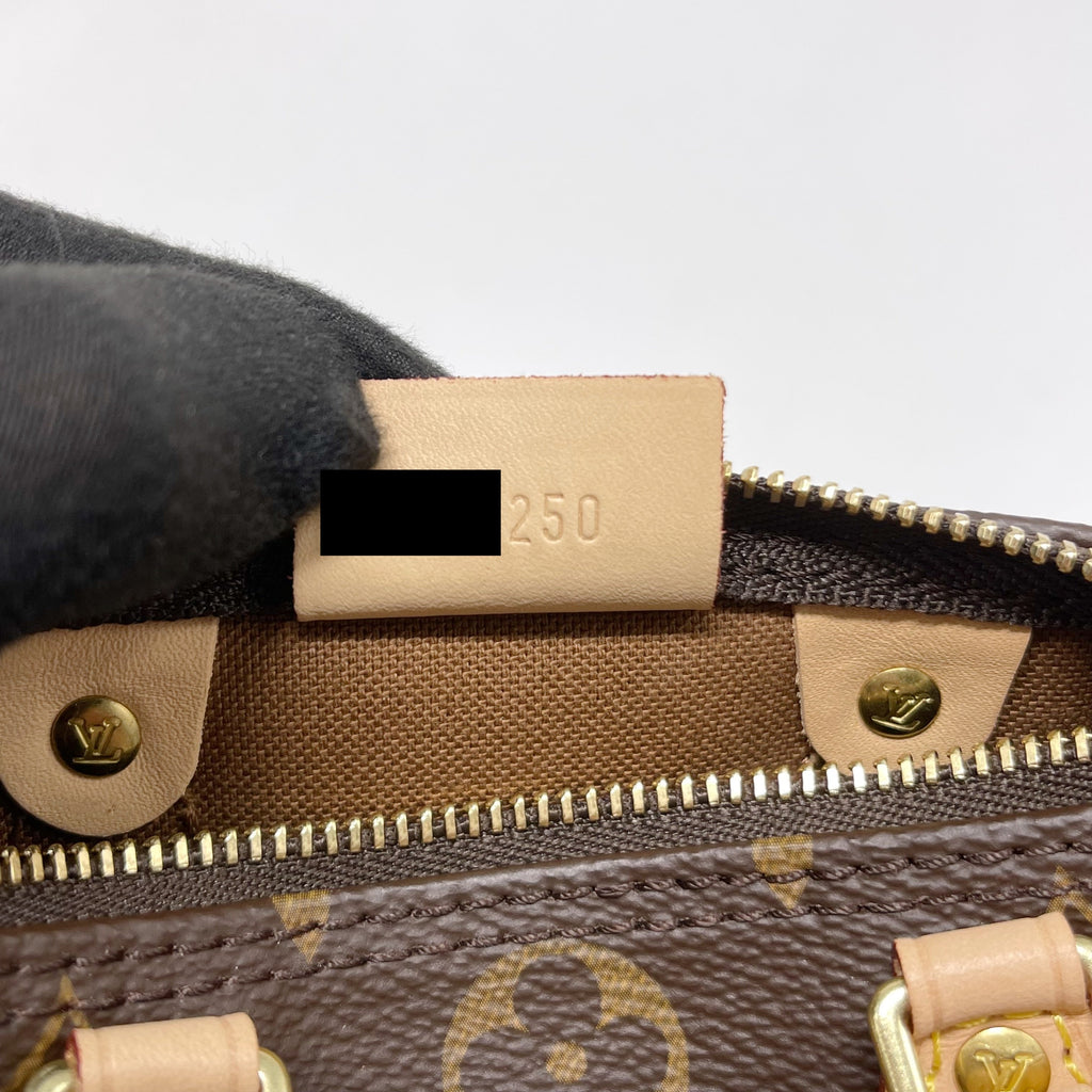 louis-vuitton-nano-speedy-monogram-canvas-1