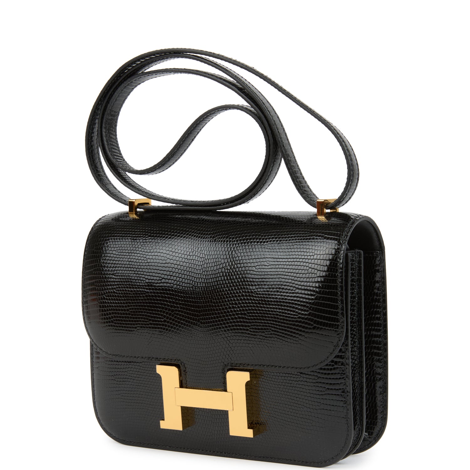 Constance 18 Black Varanus Salvator Lizard Gold Hardware Bag