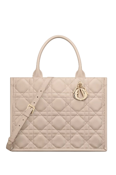Medium Dior Book Tote Latte Bag