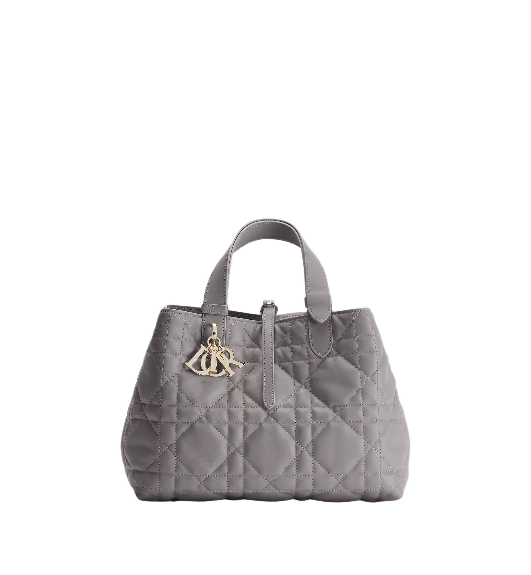 Medium Dior Toujours Rose Lingerie Bag